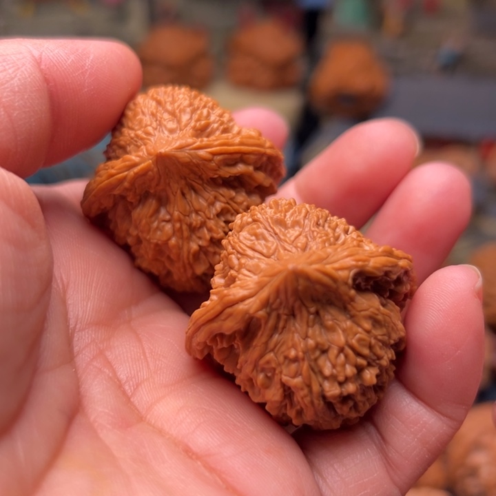 核桃37满天星满天星满天星