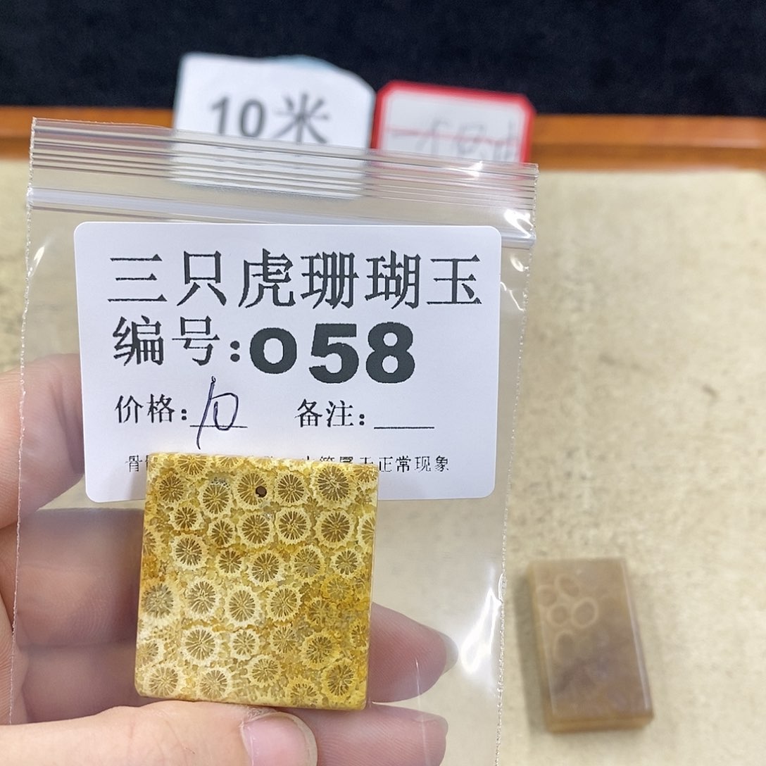 硅化珊瑚（珊瑚玉）1未镶嵌爱****子