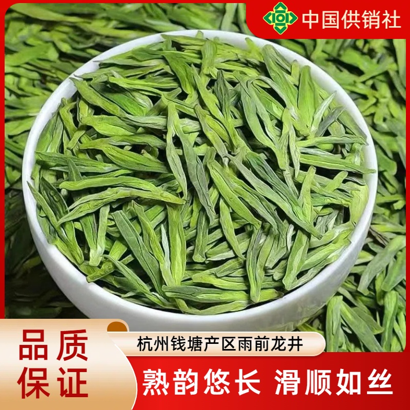 【钱塘产区龙井品鉴】2025新茶浓香型正宗杭州明前龙井采摘绿茶