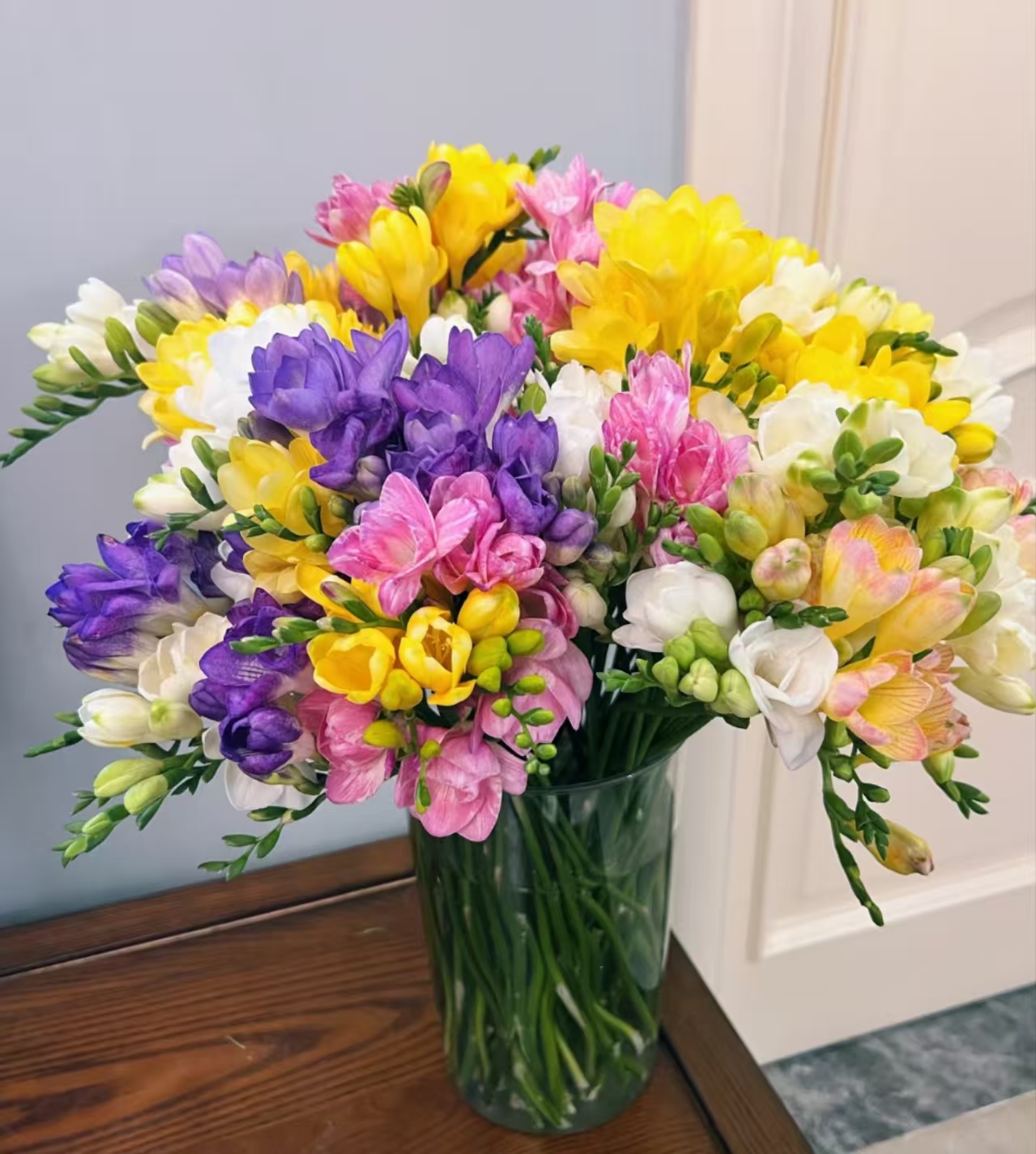 【香雪兰】精品小苍兰2把不同色【0度以下请拍保温棉】