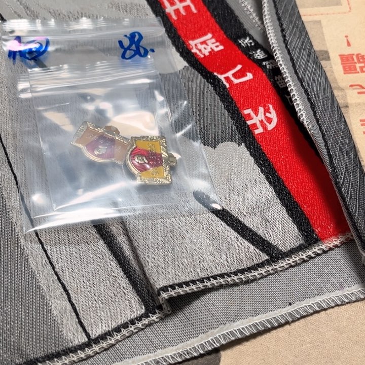 其他普通金属用****6普通纪念章