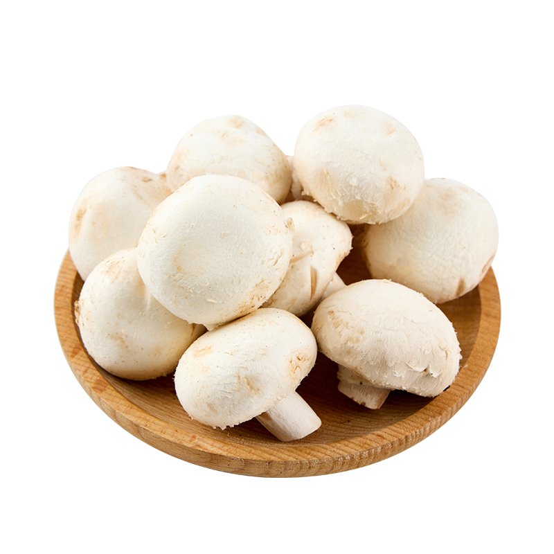 【绿色认证】白蘑菇230g/份 (切根)