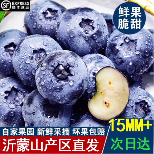 蓝莓大果15-18mm花香脆甜口口爆浆新鲜采摘顺丰包邮100G每盒山东山东省
