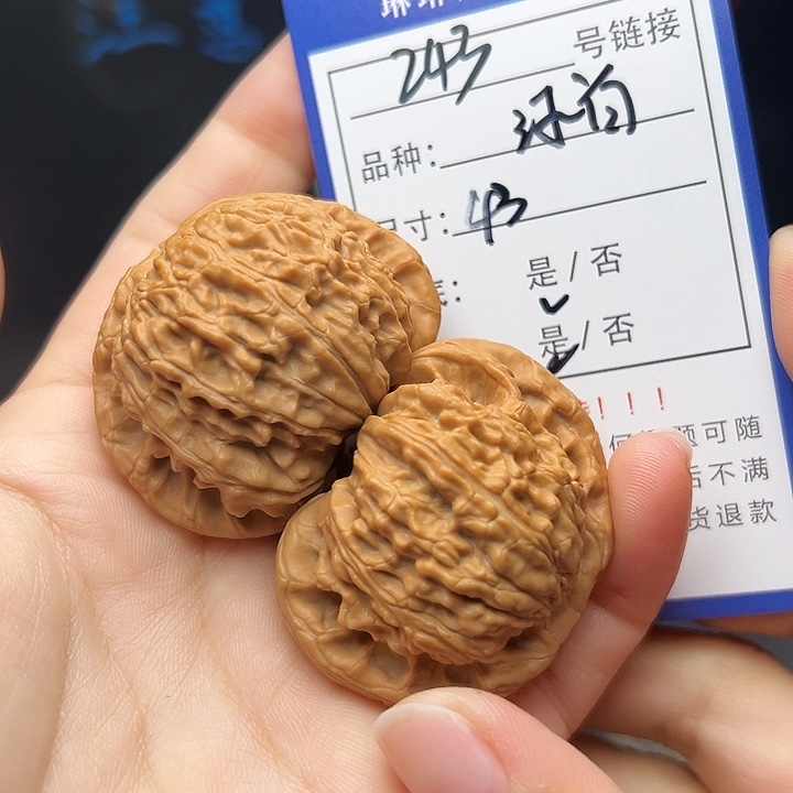 文玩核桃吊坠核桃树243