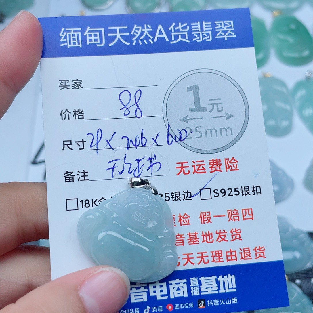翡翠银S925镶嵌颈饰翡翠