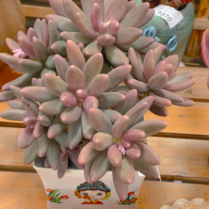 谢谢你的支持000001058