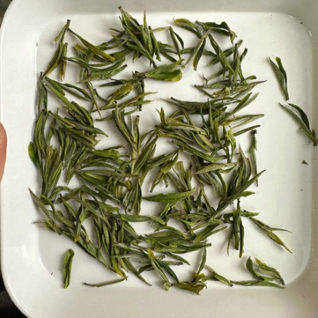 600毛峰绿茶清香