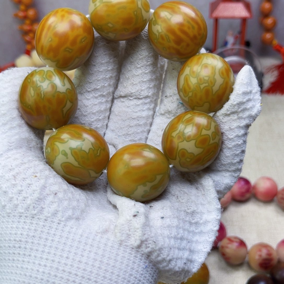 手串菩提根/象牙果