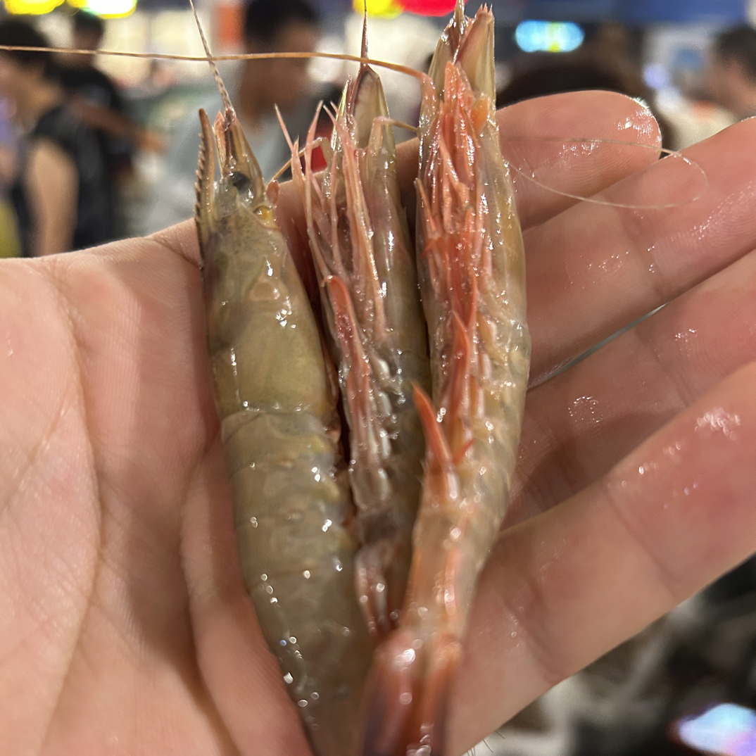 【小号滑皮虾4斤】 东海野生滑皮虾剑虾鹰爪虾麻虾超低温锁鲜发货