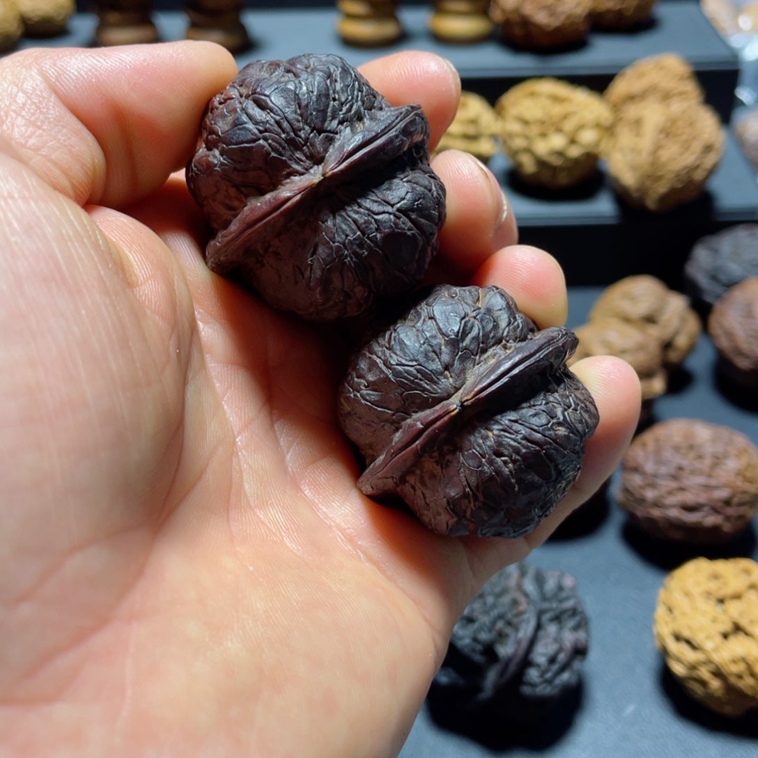 文玩核桃把件B七彩螺38mm