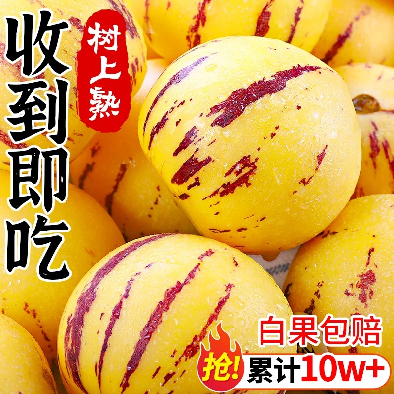 云南石林果新鲜黄肉圆果树上自然成熟清甜多汁应季水果