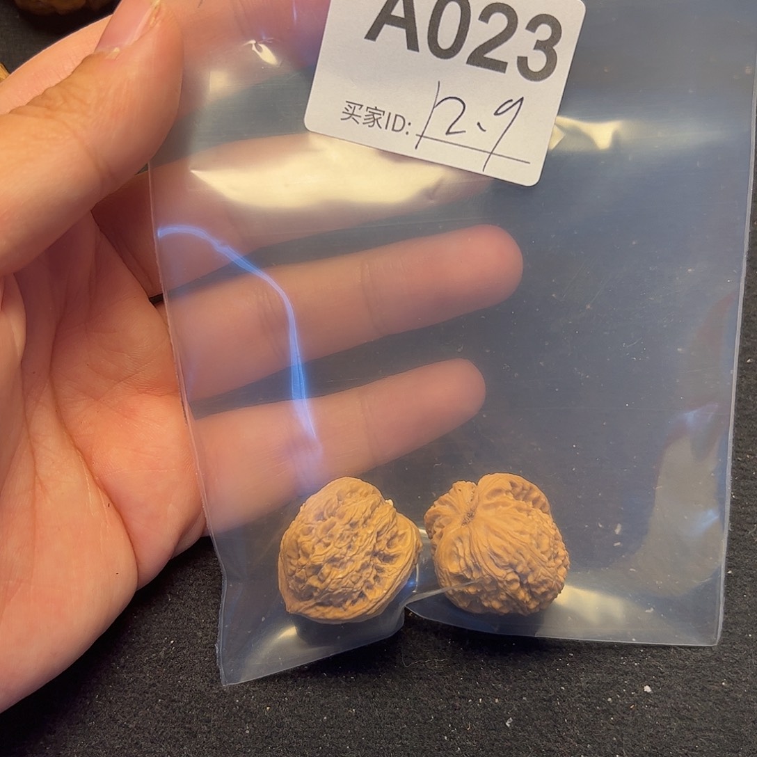 文玩核桃把件白狮子