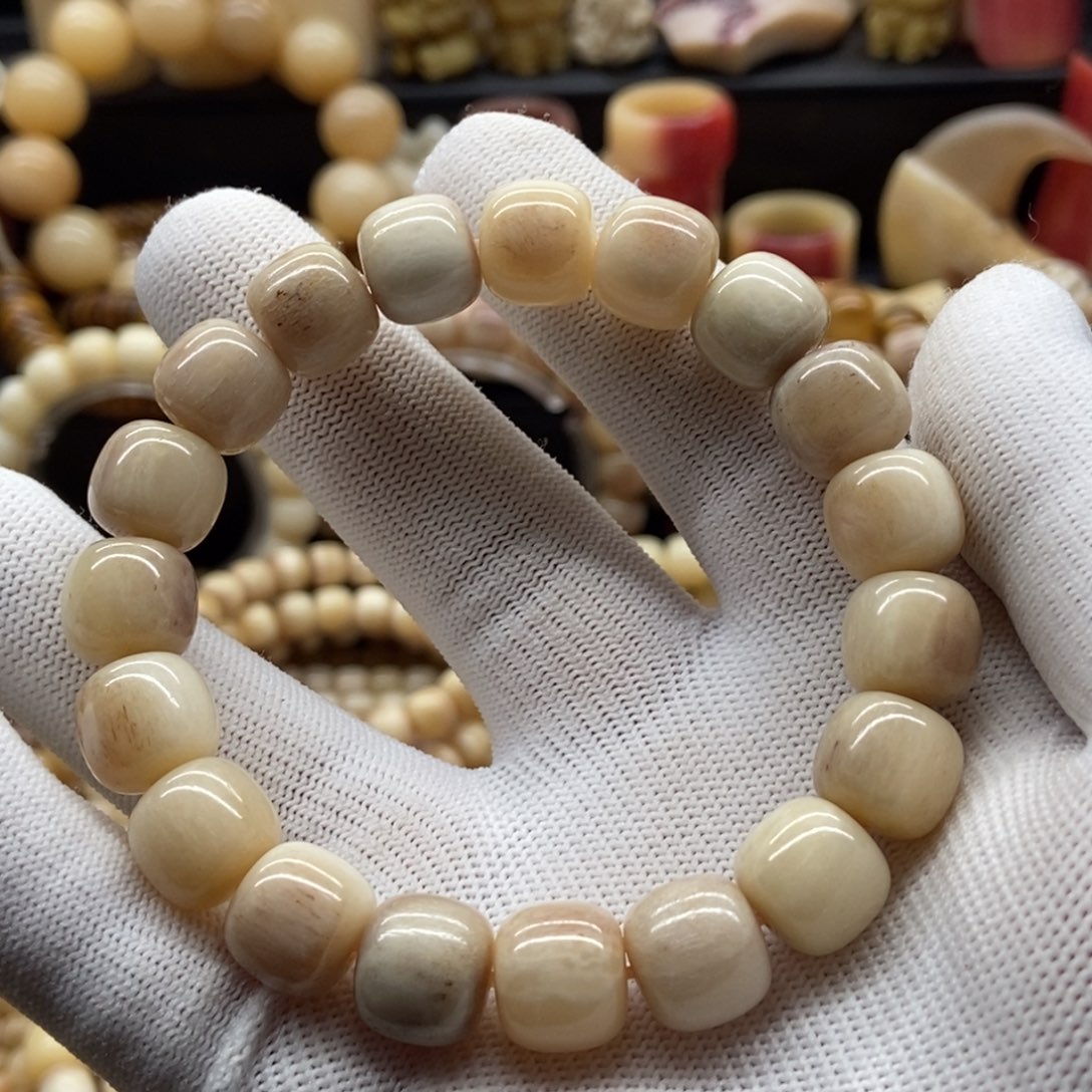 非金属无12毫米驼骨三花