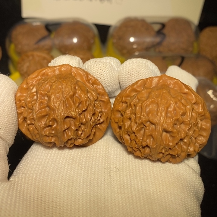 宫灯狮子头42尺新春福利款