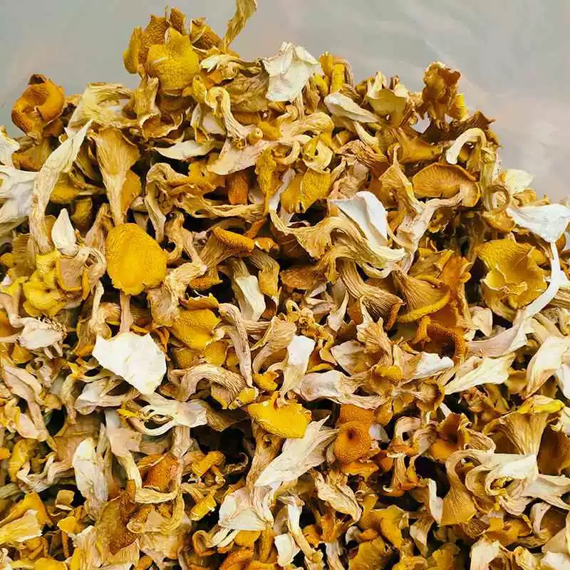 【芒果】云南土特产～鸡油菌