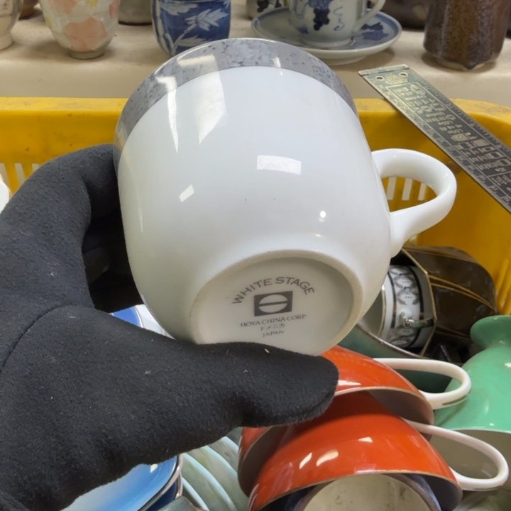 瓷片開播啦…開播啦！