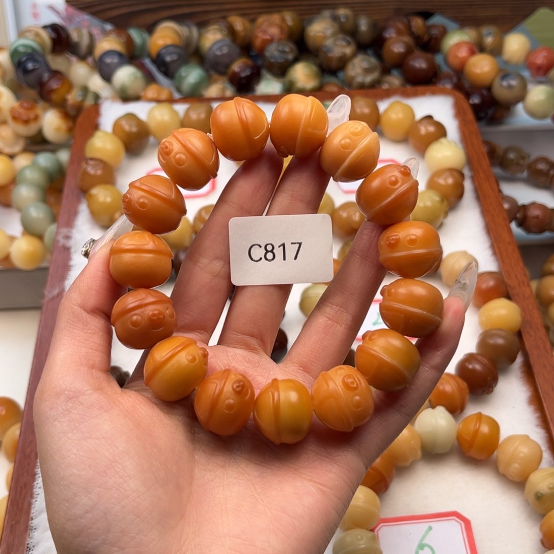 菩提根/象牙果手串？17mm通货猪猪一串c817