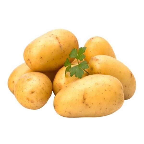 【土豆】新鲜土豆约4斤土豆同城配
