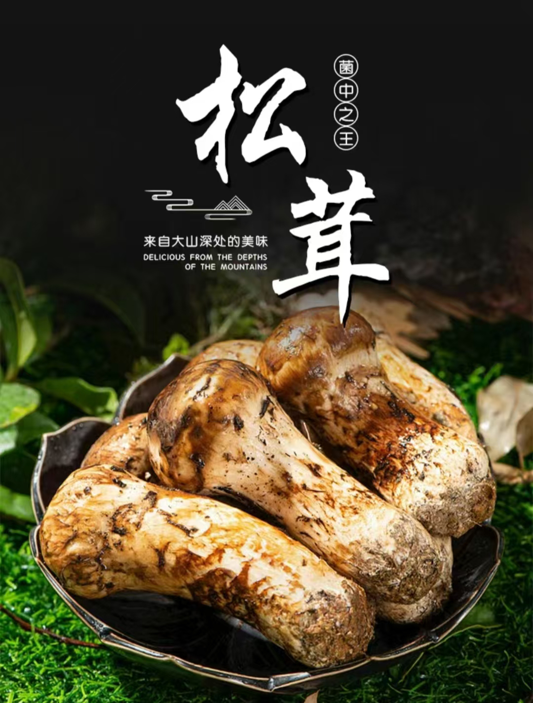 （一物一拍）云南香格里拉新鲜松茸500g-1000g顺丰空运冷链包邮