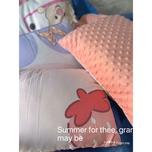 双面四季可用豆豆枕头学生宿舍床上用品