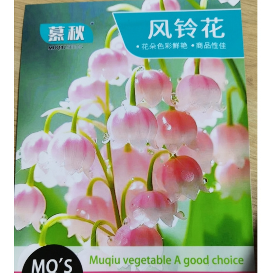 【满5包包邮】风铃花种子四季种植