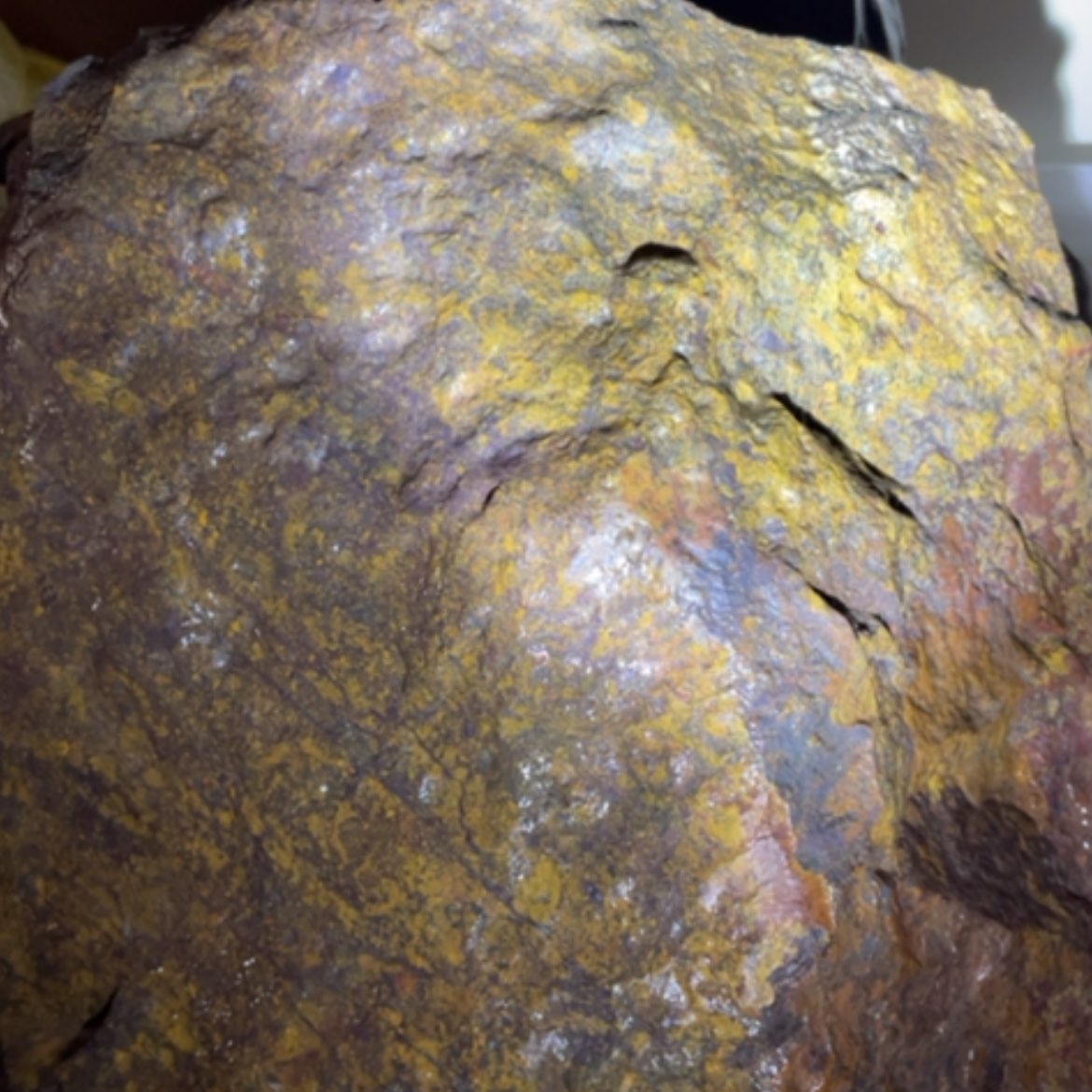 【闪购商品】新疆天宝石细胞舍利硅化铁泥石工艺品碧玺（处理）阿**叶