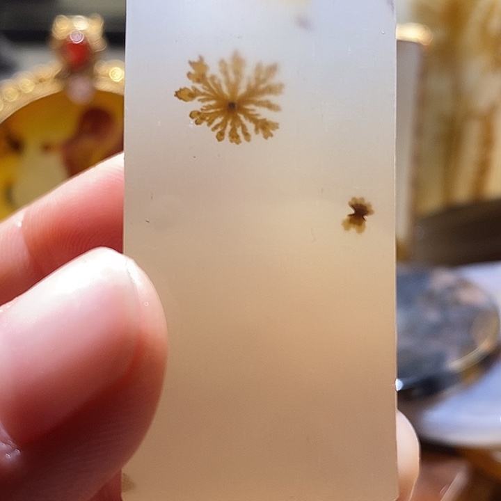 狼***子玛瑙/玉髓未镶嵌颈饰