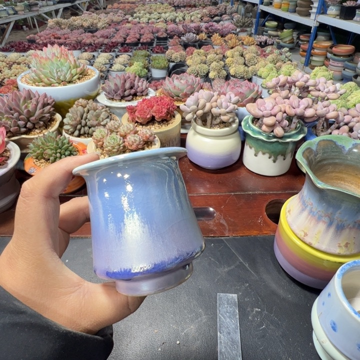 特价花盆满50发货 内口5