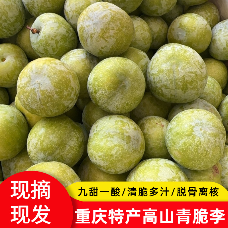 【晚熟】重庆梁平正宗高山青脆脱骨李子肉厚多汁净重5斤