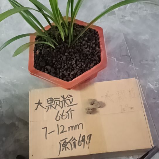 用***5兰菌黑山土大颗粒6.6斤