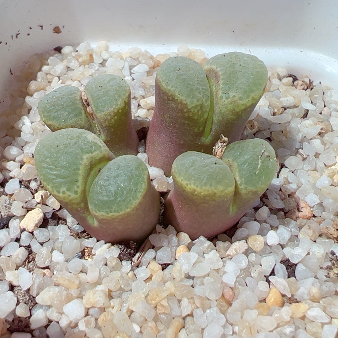 M****e120-195.我的小伙伴