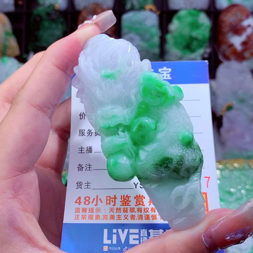 【闪购商品】翡翠颈饰未镶嵌挂件