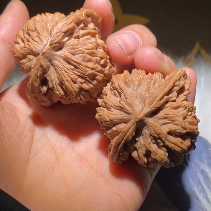 菇***）文玩核桃吊坠精品课程的