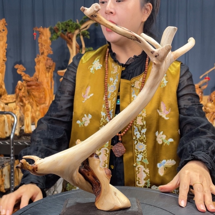 柏木（崖柏）随型飘枝