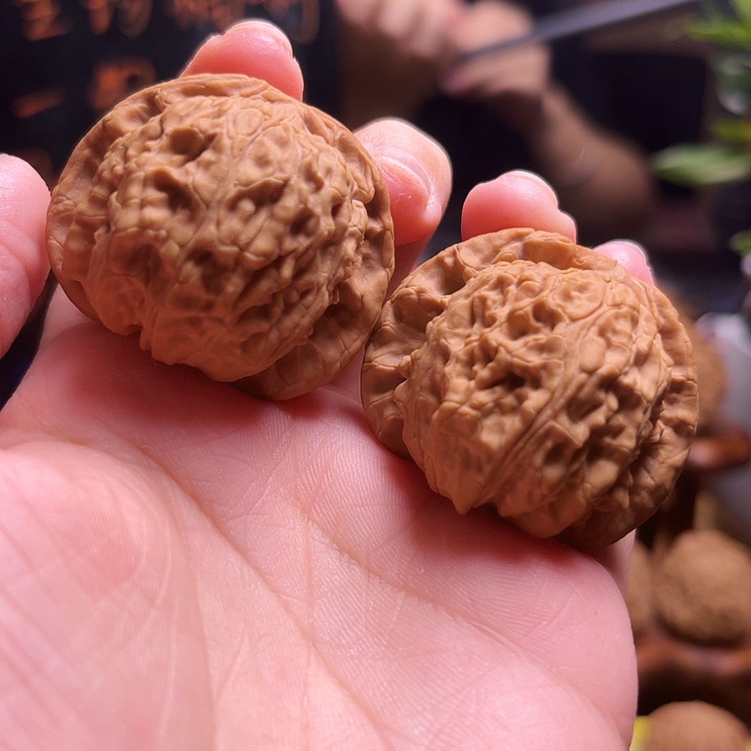 菩提38尺白狮子闪8