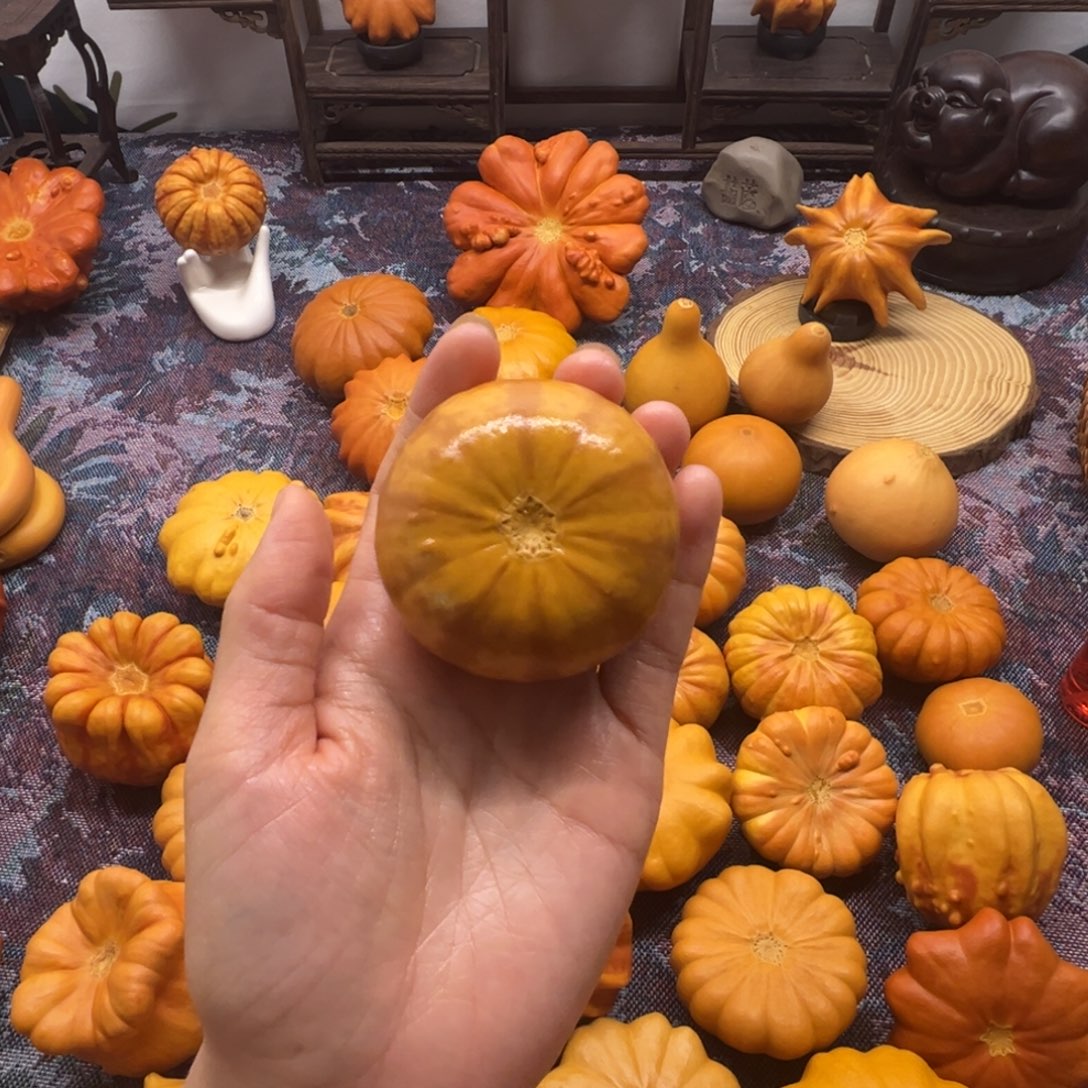 墨西哥葫芦小皮饼