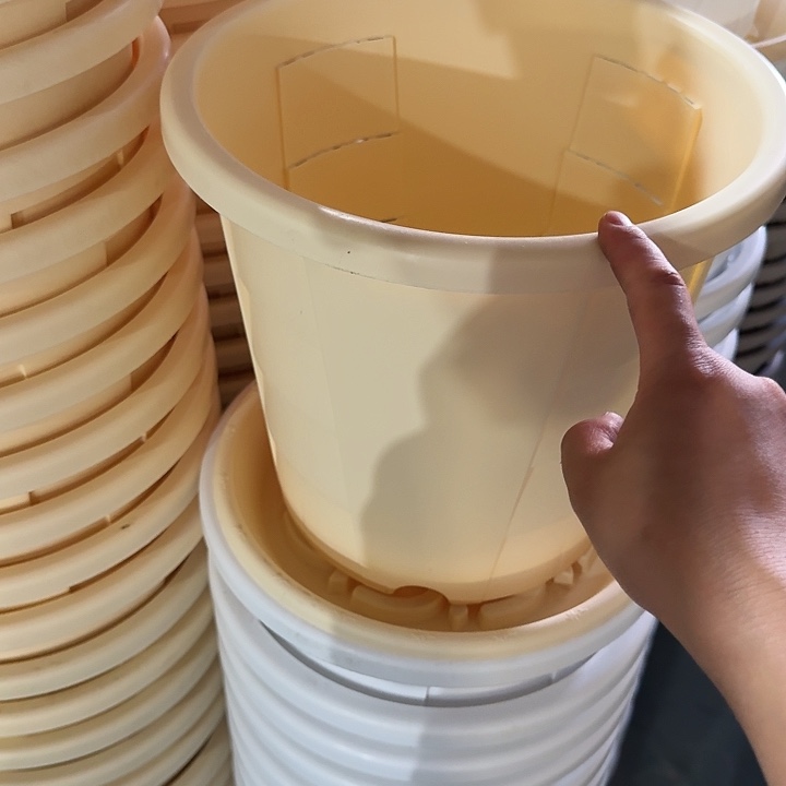 测29口径4个无托米黄