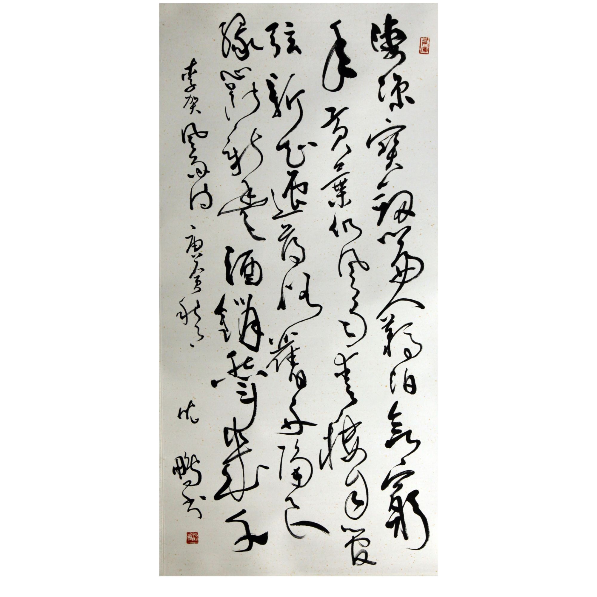 沈鹏  书法  136X66  纸本镜片