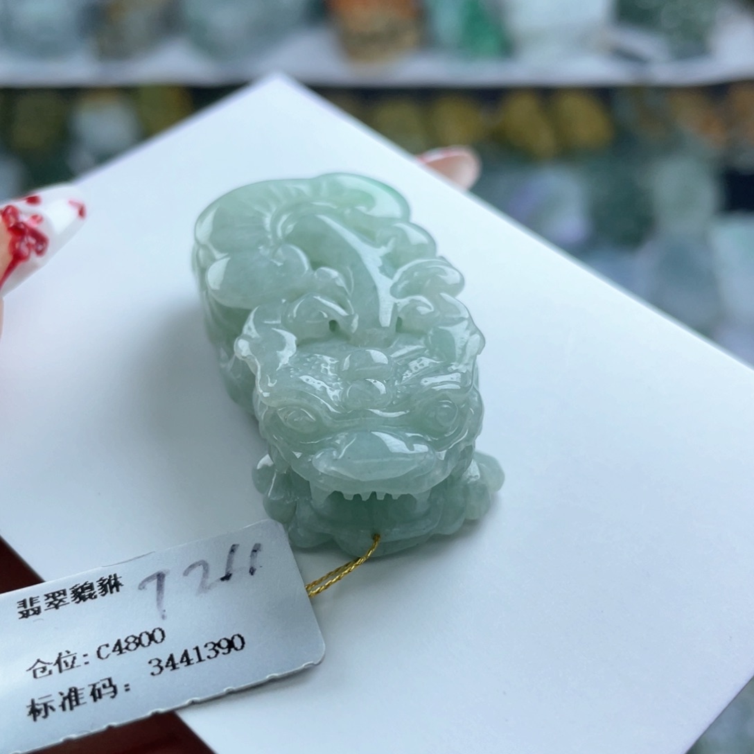 颈饰未镶嵌翡翠貔貅71