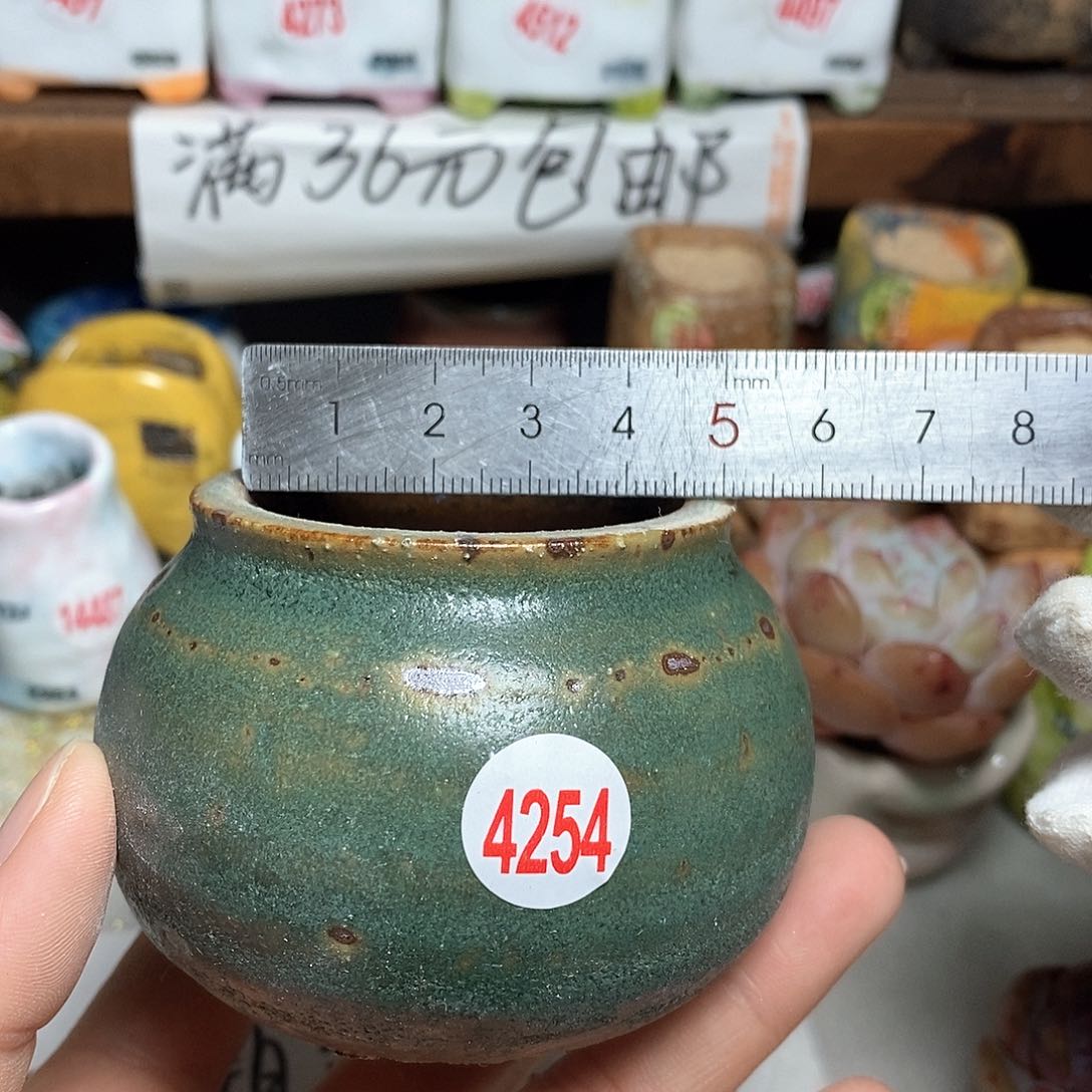 红陶拍5送一个小