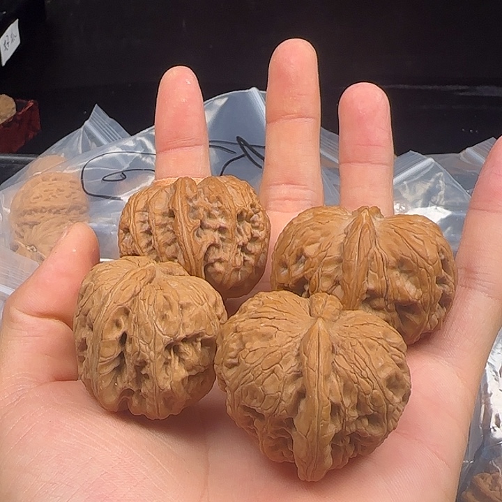 ****‍吊坠龙脊菩提啊啊啊啊啊啊啊元宝4