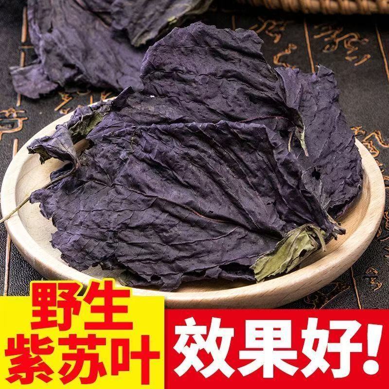 正宗野生紫苏叶精选紫苏叶无硫干货中药材正品新货泡水泡茶