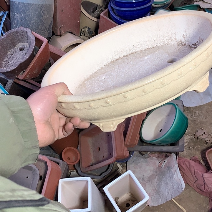 紫砂哈哈真的是太给力太