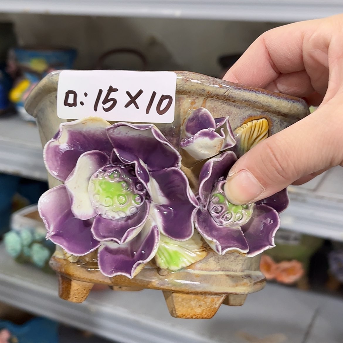 【闪购商品】红陶福利