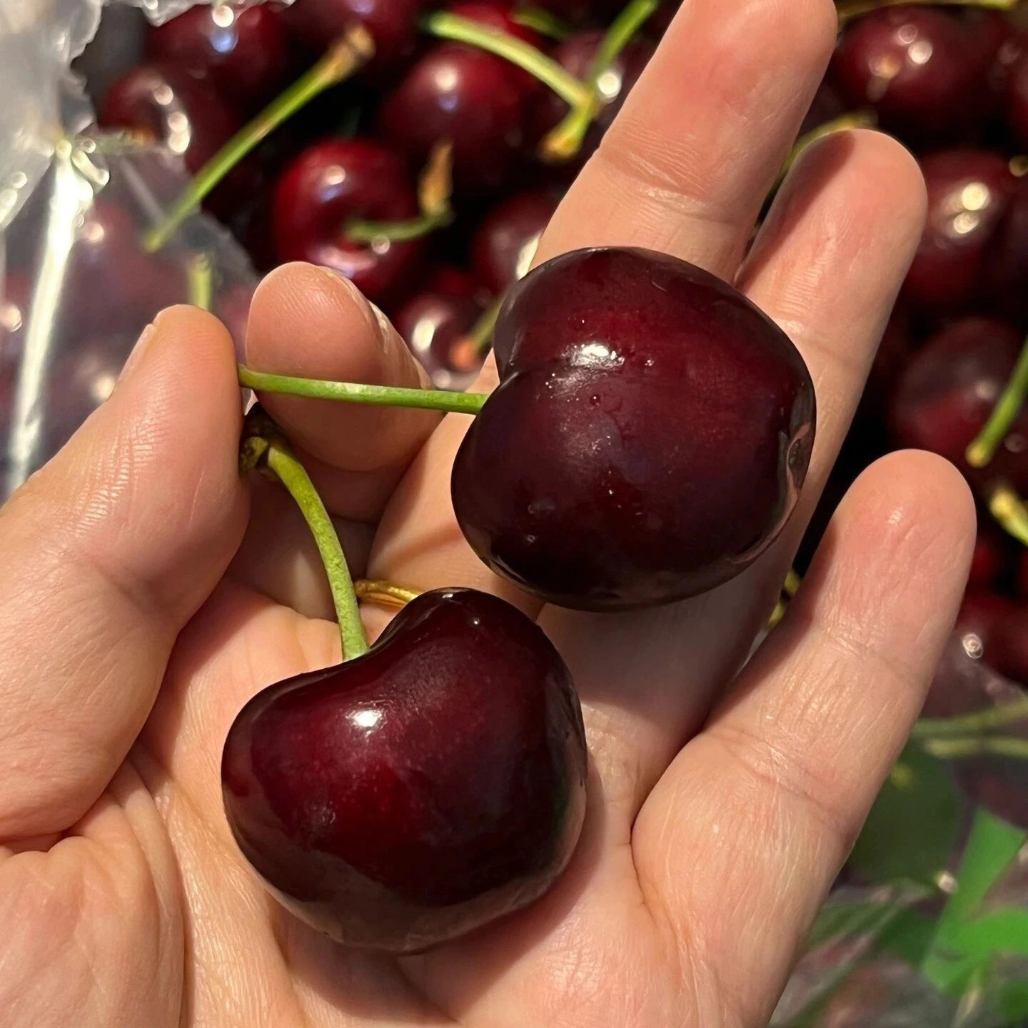 【桑提娜3JD】2/5斤智利车厘子应季水果新鲜水果箱海运内附果径卡