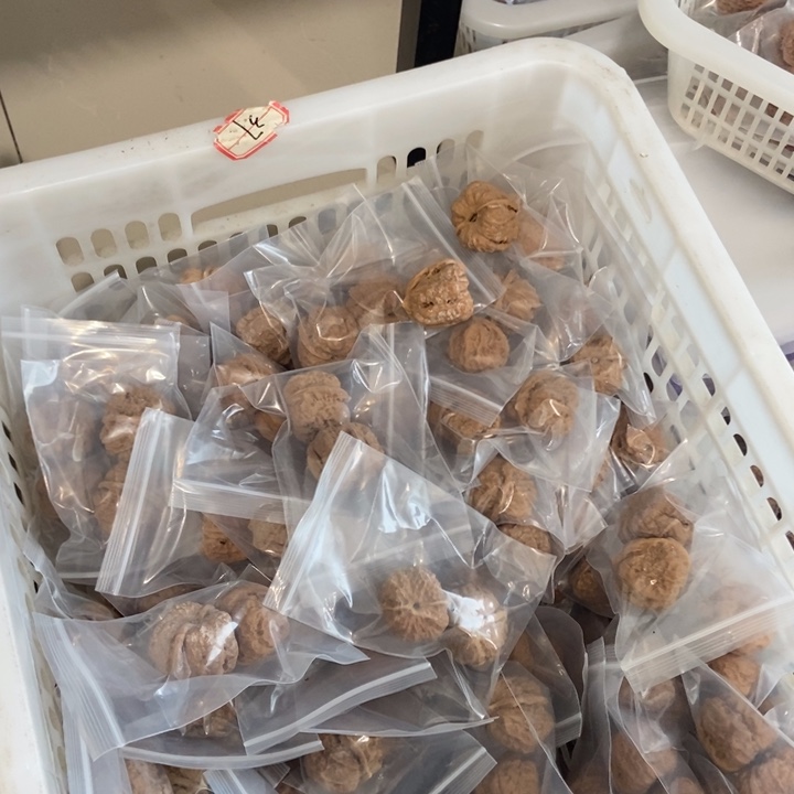 吊坠文玩核桃破烂蛙（两单皮起拍）