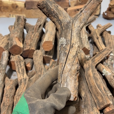 大果紫檀（缅甸花梨）瑾