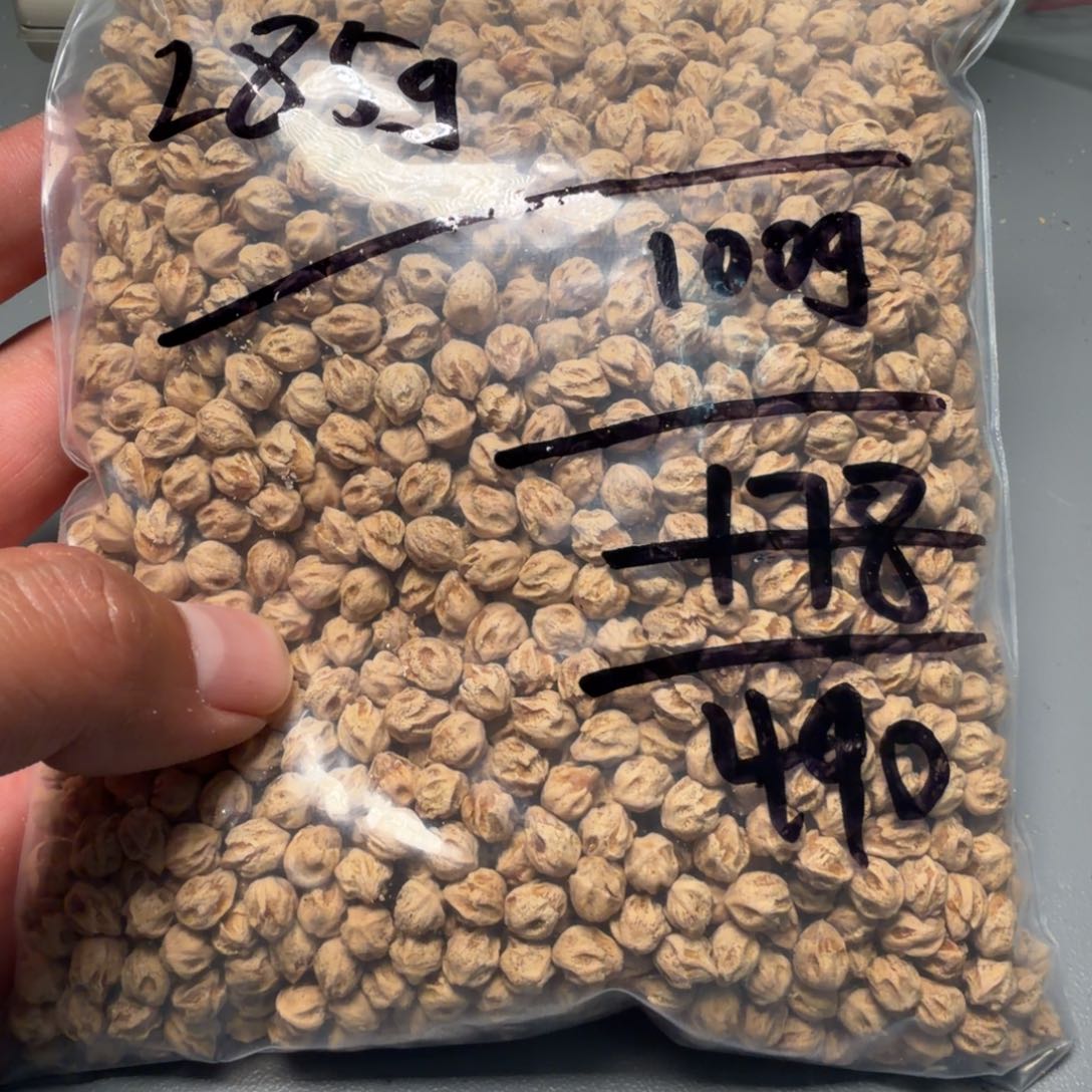 吊坠柏香籽/百香籽z*.