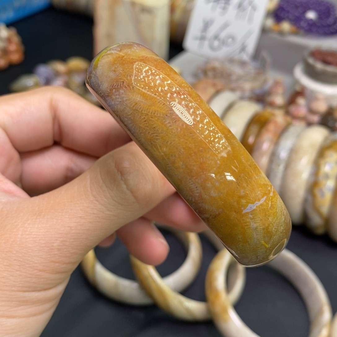 硅化玉未镶嵌手镯