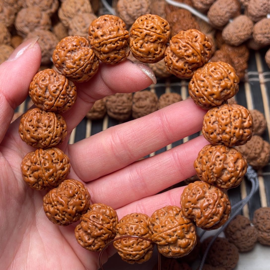 菩提尼泊尔大金刚满肉梅花20